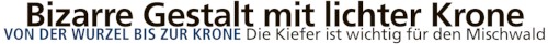 190713 Isar Loisachbote 1 h